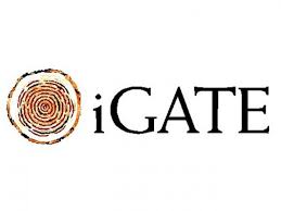iGate Logo
